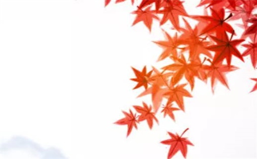农历二〇三一年二月初三黄历适宜出行吗,出行好日子有哪些