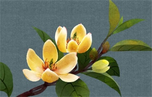 农历二〇二六年六月初五黄历不适宜旅行吗,出行好日子有哪些