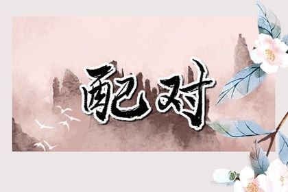 八字算命 安康网(八字算命安康网)