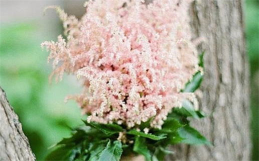 八字算命汉程揭秘命运密码与人生指导