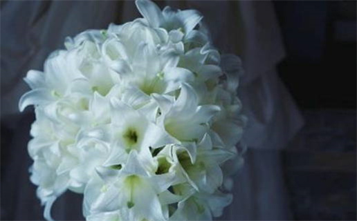 八字算命揭秘命运密码与未来趋势