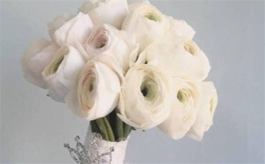 八字算命在线排盘(八字在线算命免费排盘算命!)