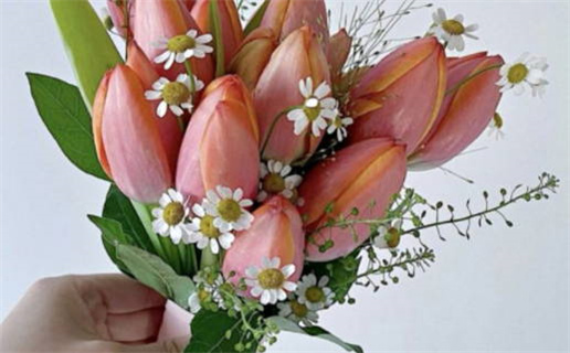 明天黄道吉日时辰查询最佳选择指南