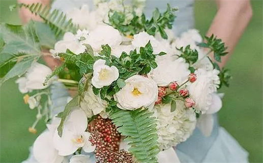 三藏免费算命生辰八字(三藏免费算命生辰八字算命网)