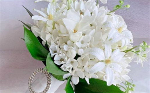 生辰八字命格解析与运势指南