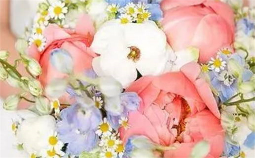 免费批八字算命网精准解读你的命运玄机