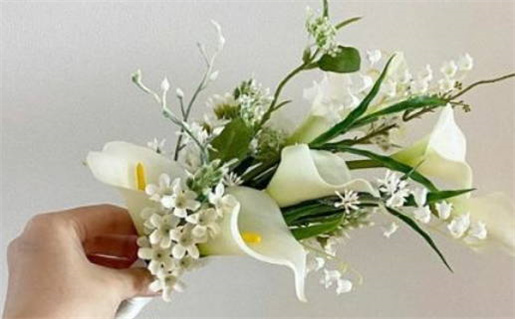 嘉字取名的寓意(嘉字取名的寓意男孩)