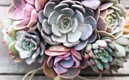 买车黄道吉日查询2026