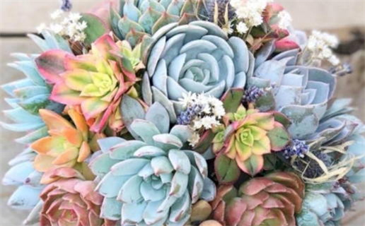 生辰八字称骨算命指南揭示命运秘密