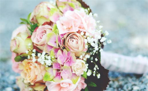 八字算命 免费(八字算命免费测八字)