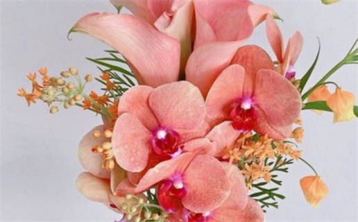 生子的黄道吉日查询(生子黄道吉日查询2026年)