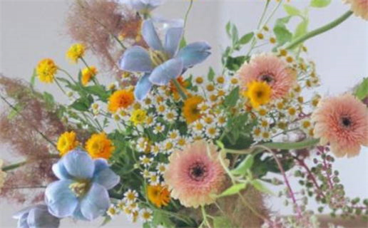 香港八字算命全面解析命运与财富的奥秘