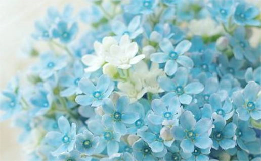 2026黄道吉日查询婚嫁