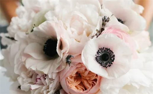 八字算命可信度分析揭示真实有效性