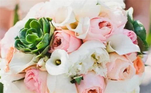 八字免费算命网(八字免费算命网汉程网)