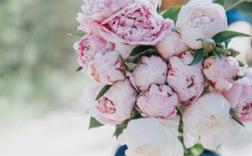 生辰八字算命里缺什么_生辰八字算命里缺什么五行