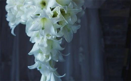 男女生辰八字配对指南揭秘爱情与婚姻运势