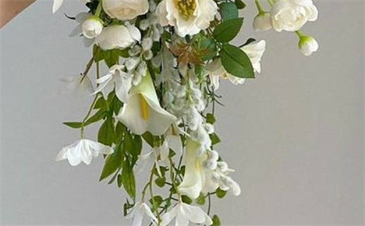 农历本月黄道吉日查询