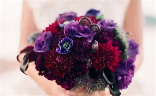 73属鼠的命运解析和人生规律探讨