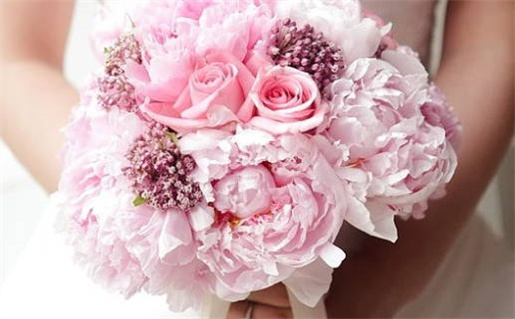 免费生辰八字算命网