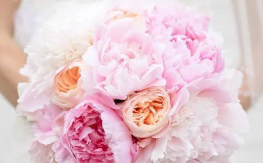 八字事业官运算命免费_八字事业官运算命免费2026年