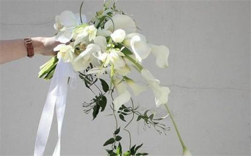 想学八字算命看什么书