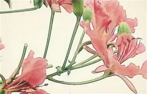 农历二〇二六年三月初二黄历破土不适宜吗,动土吉日查询