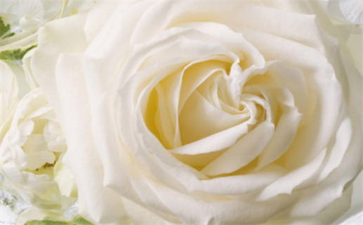 今日农历二〇二六年九月初二黄历结婚不适宜吗,结婚吉日