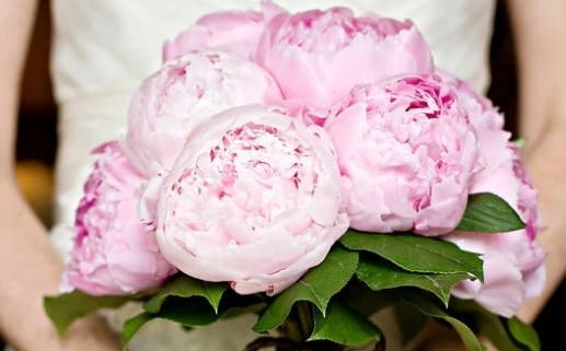 农历二〇二六年十月十七黄历领结婚证不适合吗,领证吉日查询