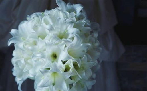 农历二〇二六年八月廿六黄历办理结婚证不适宜吗,领证吉日查询