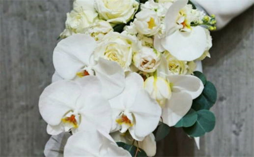 今日万年历2026年07月01日办证吉日,领证好日子查询