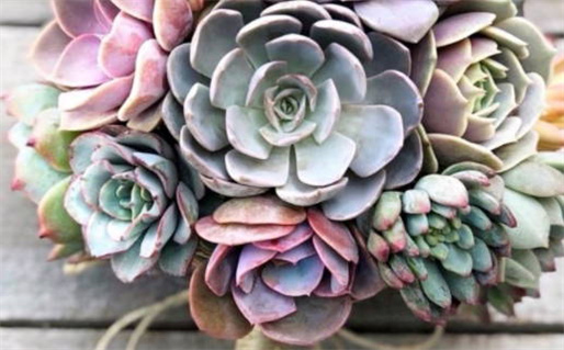 2026年12月07日领证黄历查询