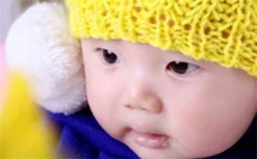 杨姓男孩子取名