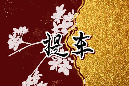 2026年07月08日提车黄历查询